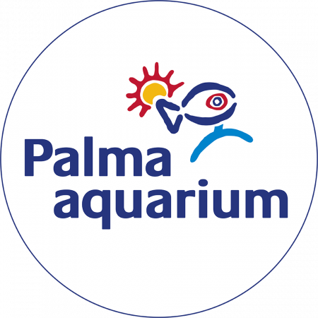 palma